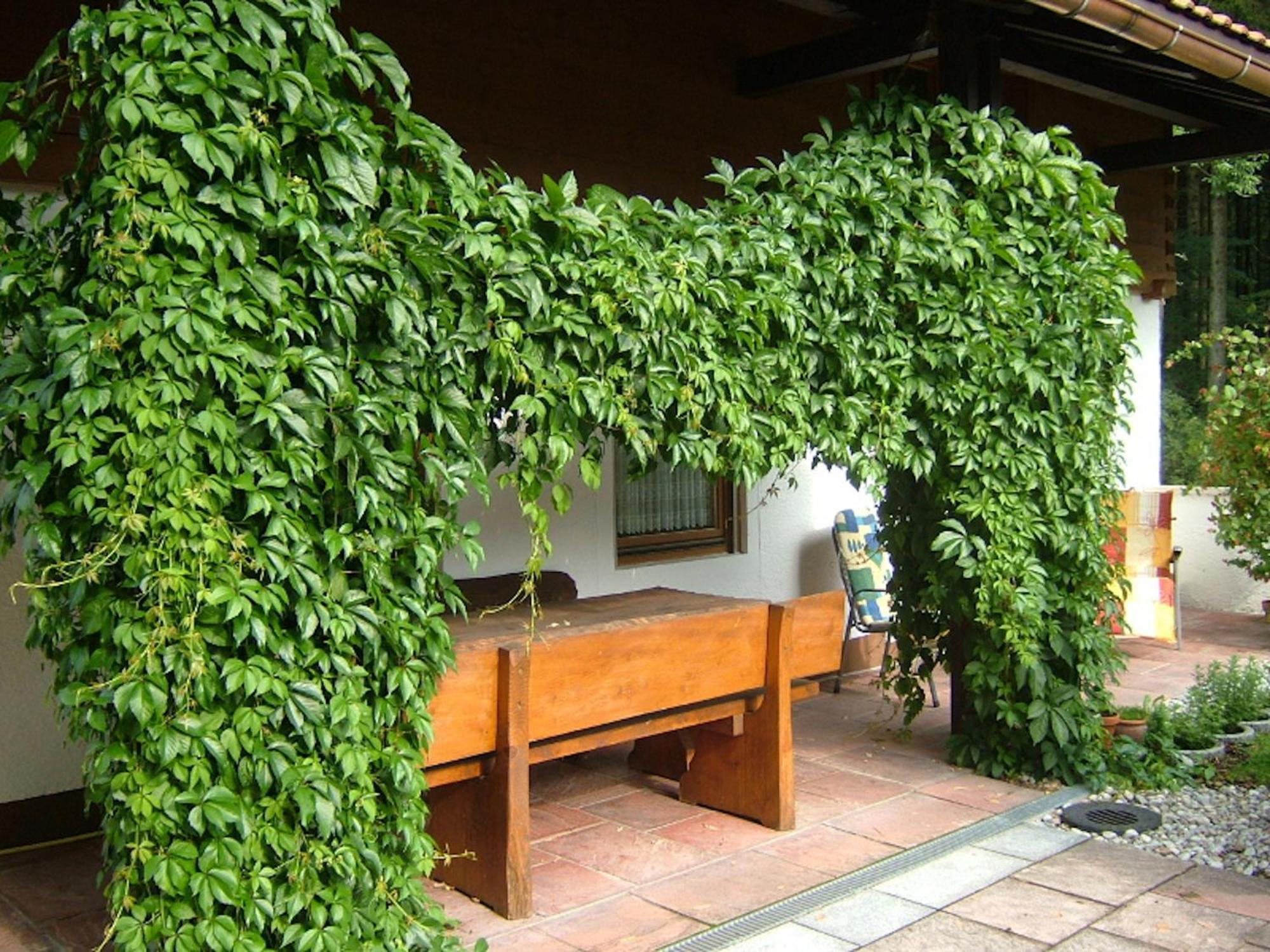 Haus Mayerbuechler - Chiemgau Karte Inzell Exterior foto